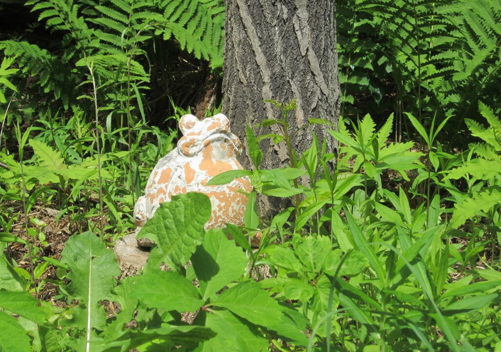Photo of Outdoor in Barton