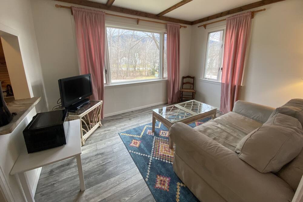 Photo of Livingroom in East Dorset