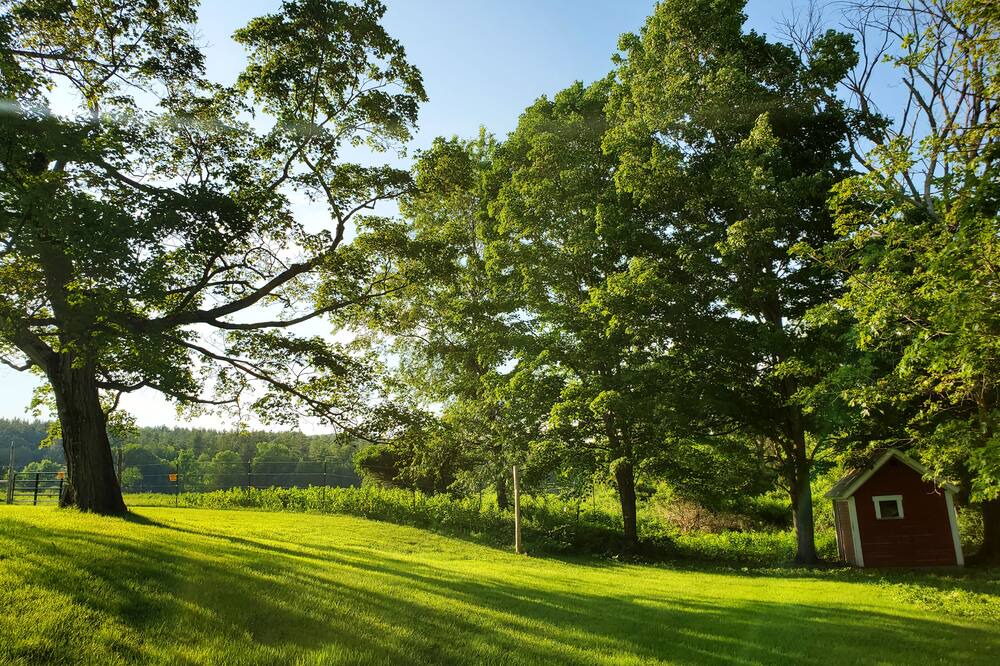 Photo of Outdoor in Danby