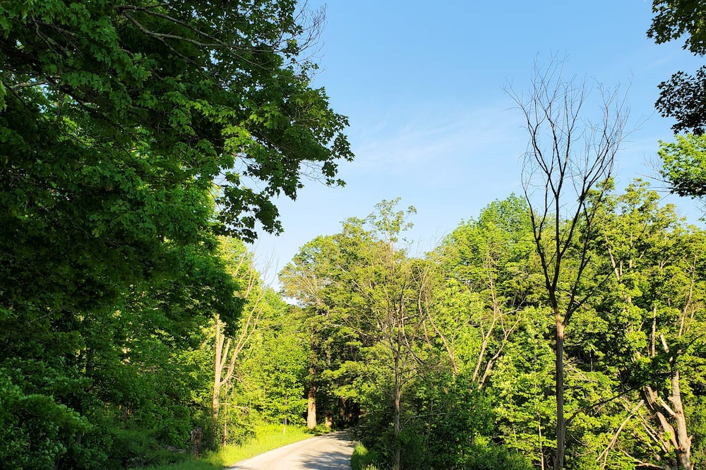 Photo of Outdoor in Danby