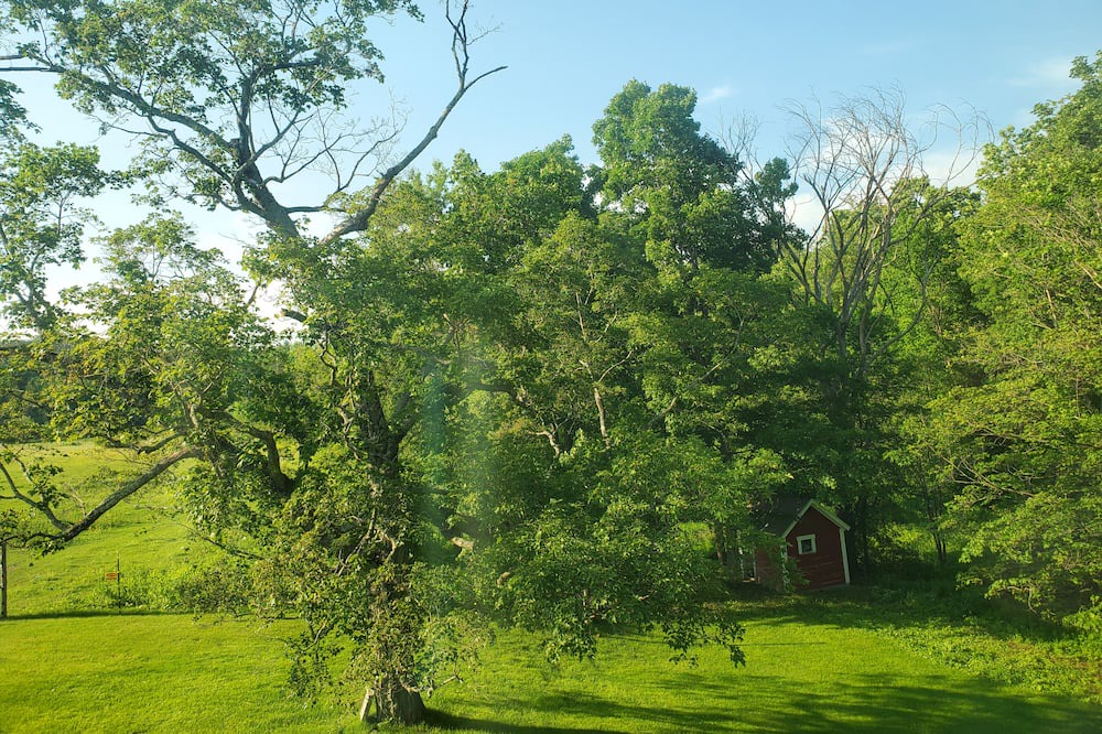 Photo of Outdoor in Danby