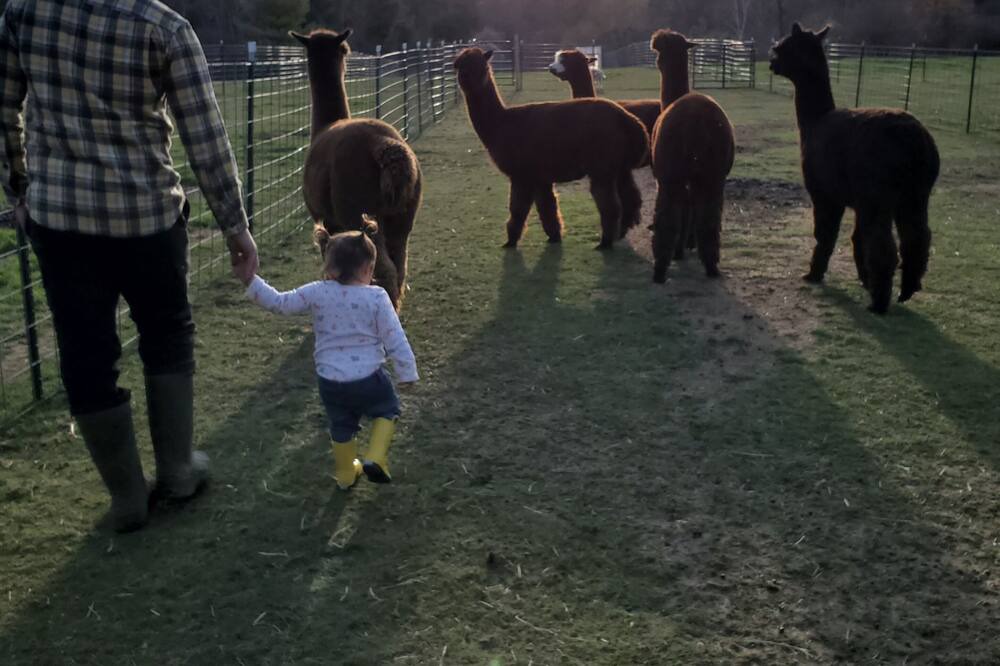 Photo of Others in Danby