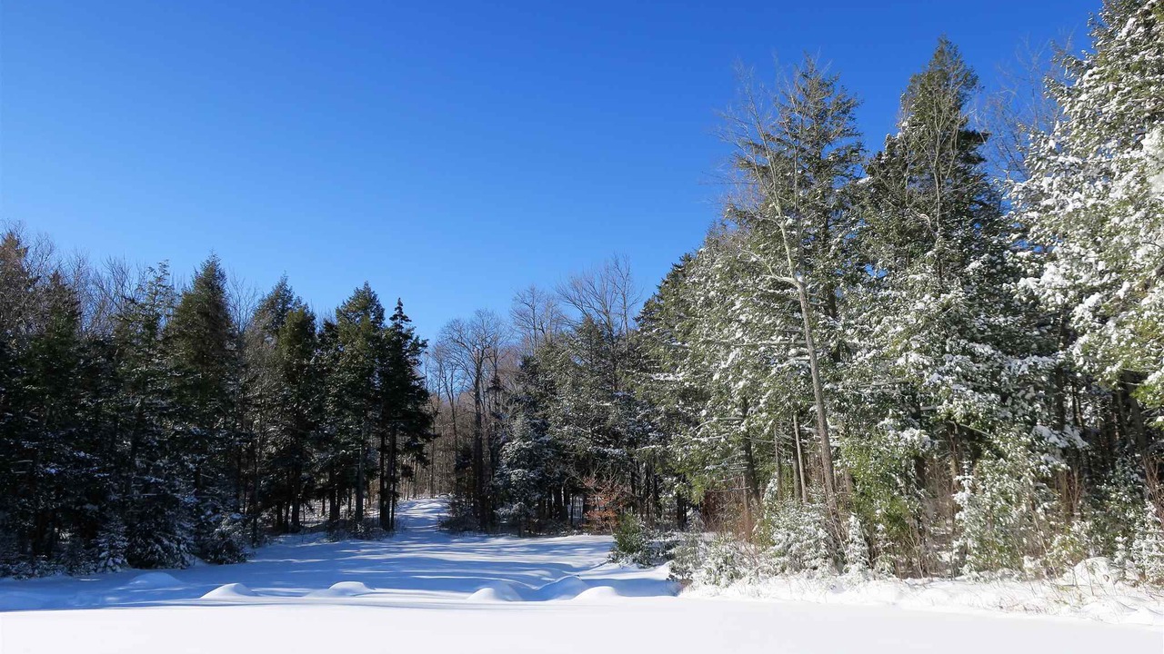 Photo of Others in Stratton