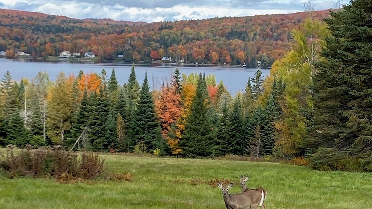 Photo of Others in Morgan