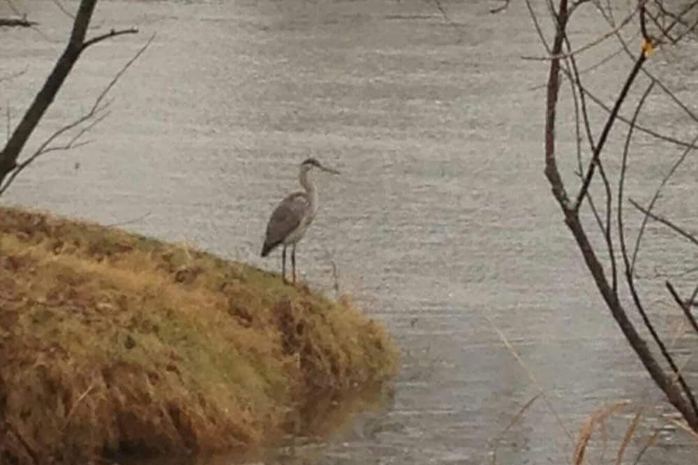 Photo of Others in Enosburg Falls