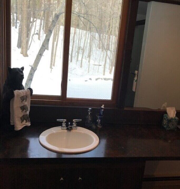 Photo of Others in Stratton Mountain