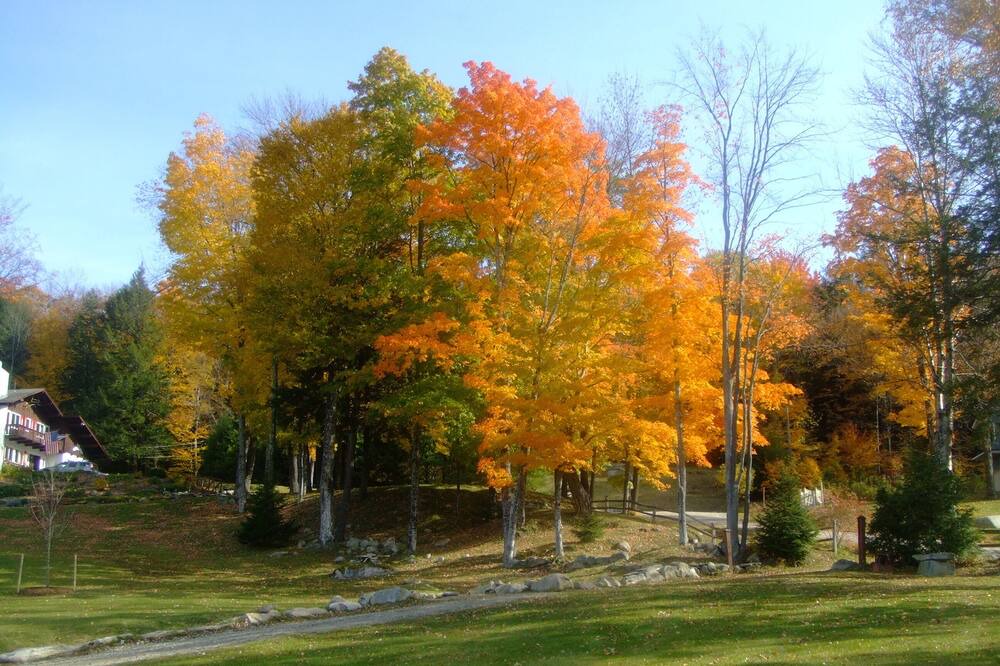 Photo of Outdoor in Londonderry