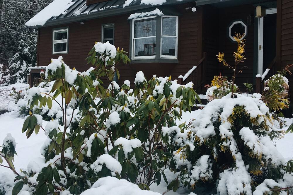 Photo of Outdoor in Brookline