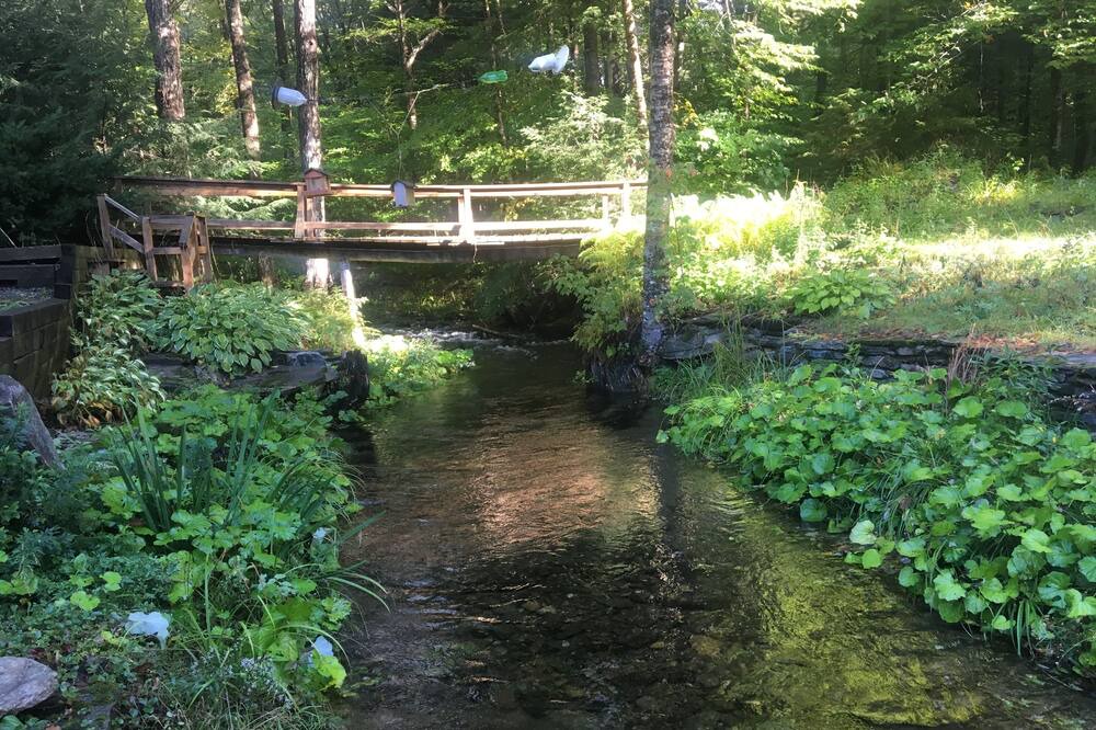 Photo of Outdoor in Brookline