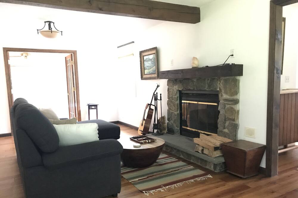 Photo of Livingroom in Brookline