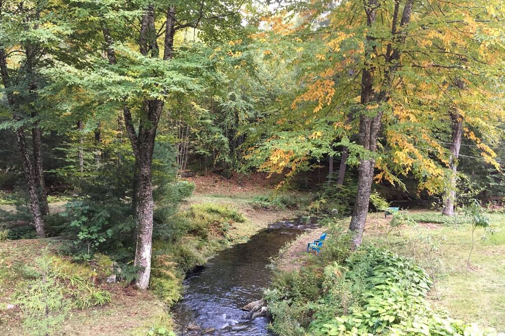 Photo of Outdoor in Brookline