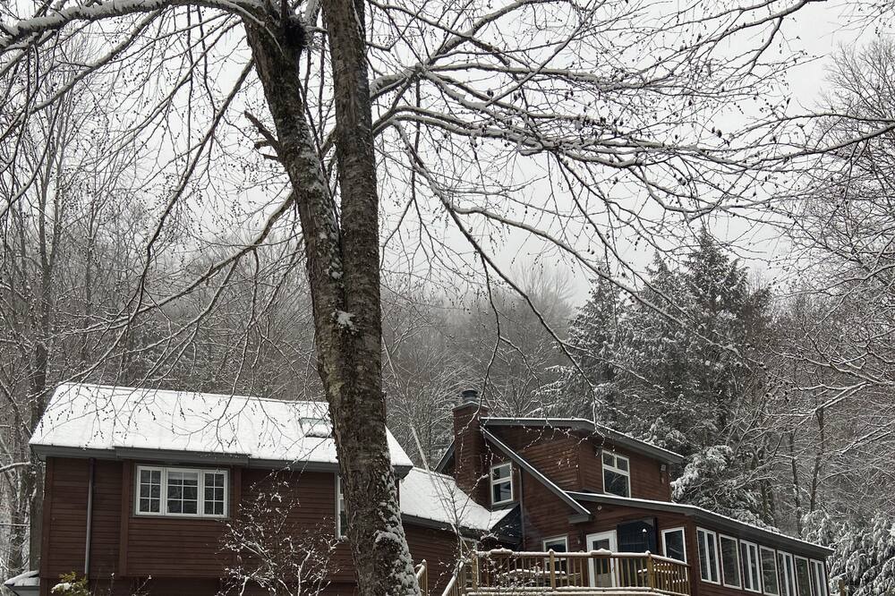 Photo of Outdoor in Brookline