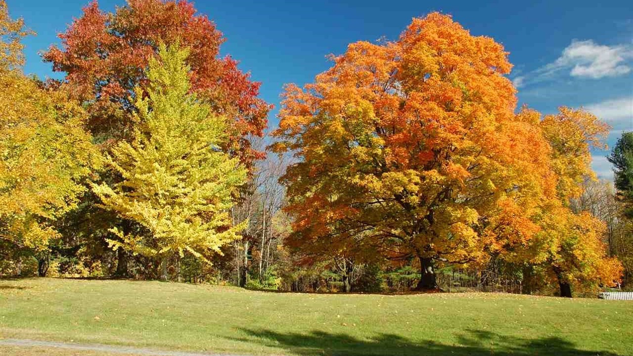 Photo of Others in Wardsboro