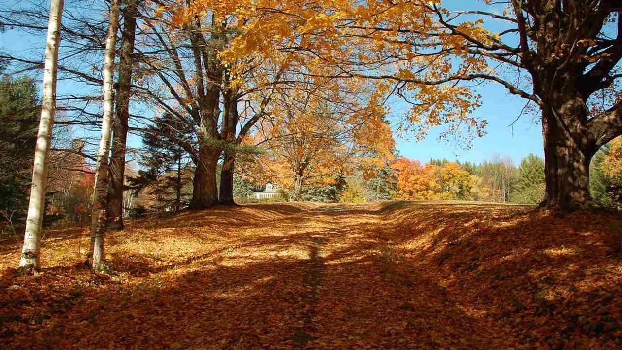 Photo of Outdoor in Wardsboro
