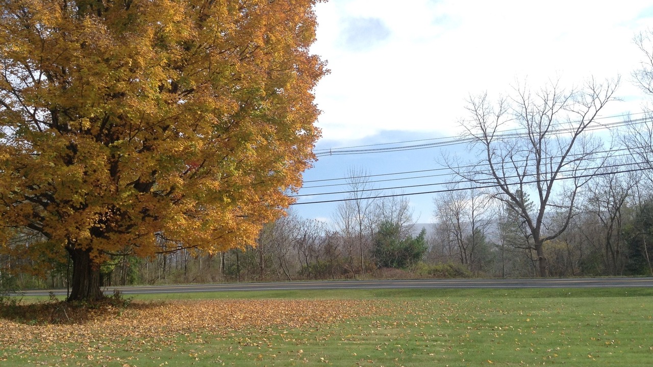 Photo of Outdoor in Bennington