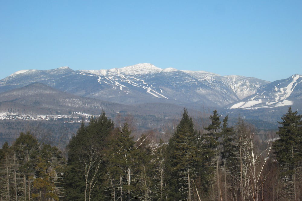 Photo of Others in Stowe Hollow