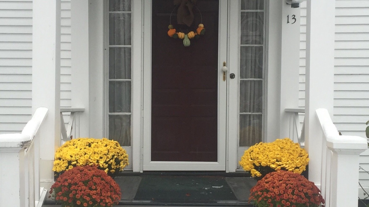 Photo of Outdoor in Woodstock