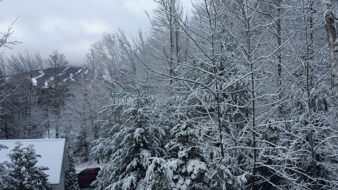 Photo of Others in Stratton Mountain