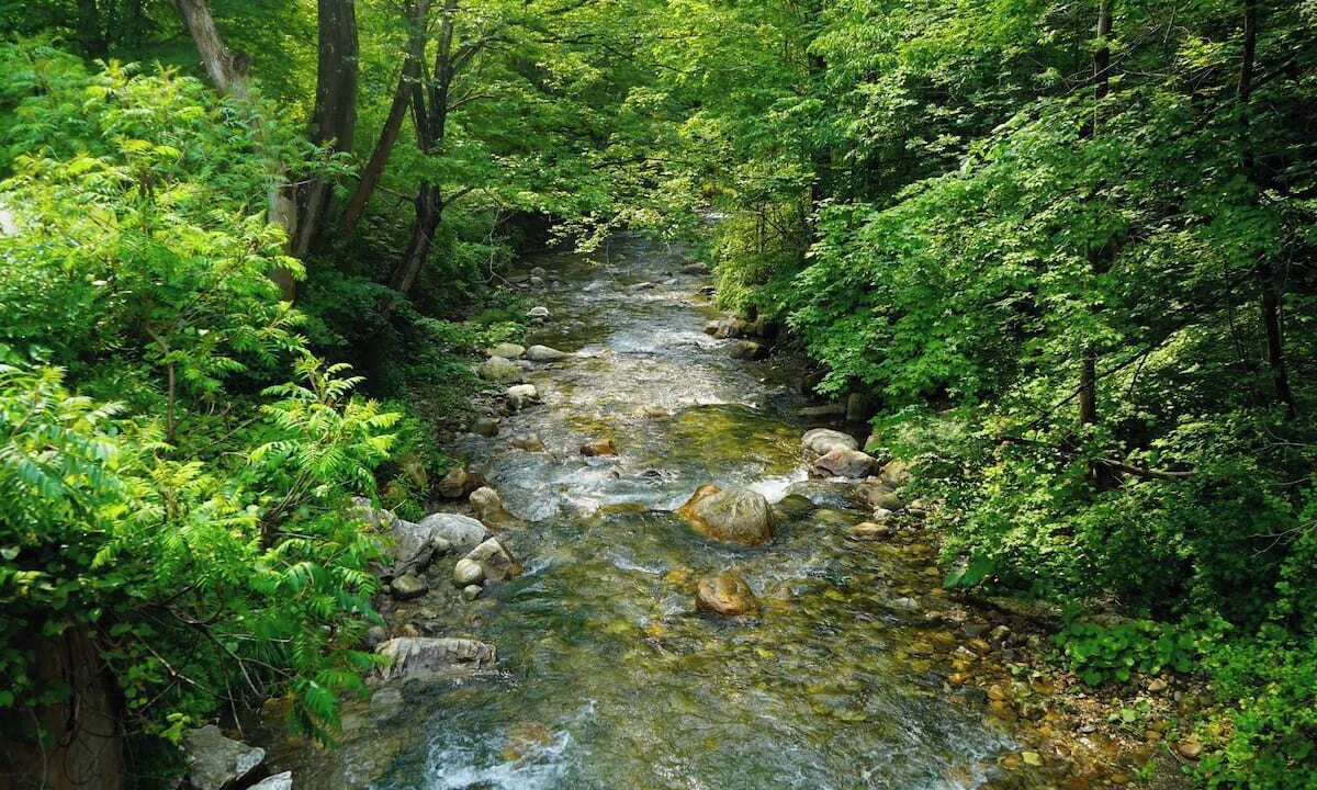 Photo of Outdoor in Mount Tabor
