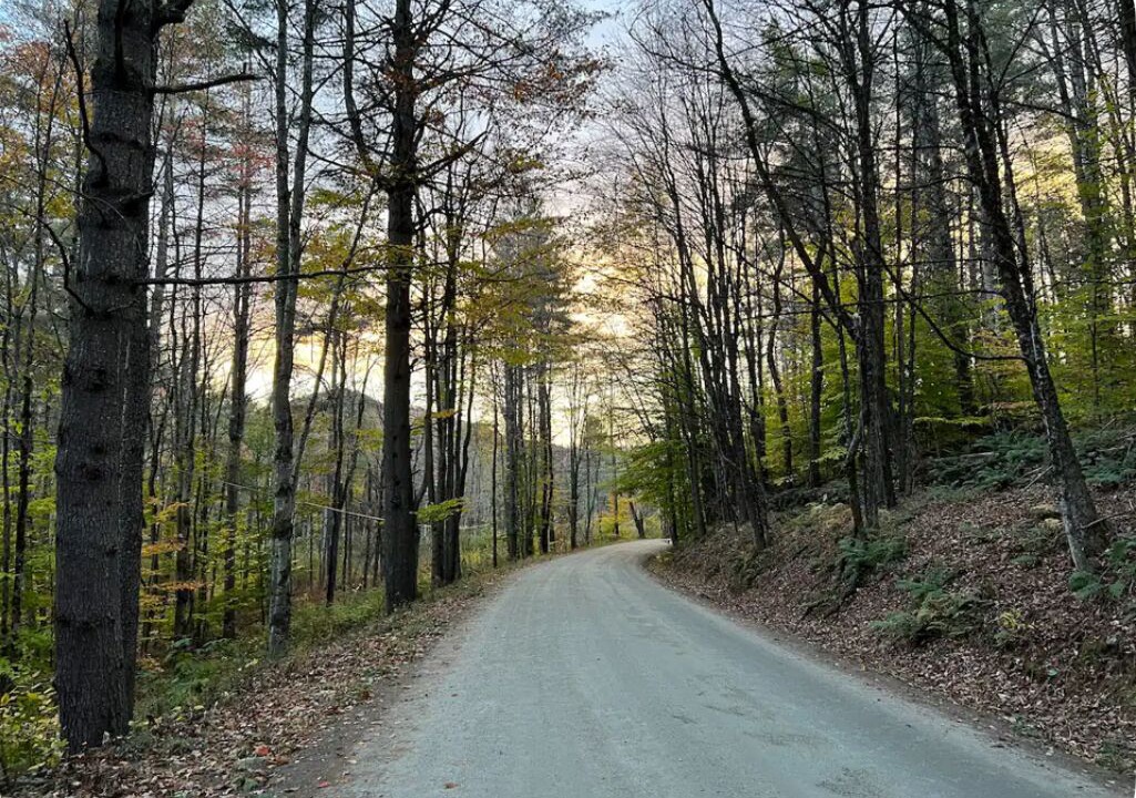 Photo of Outdoor in Grafton