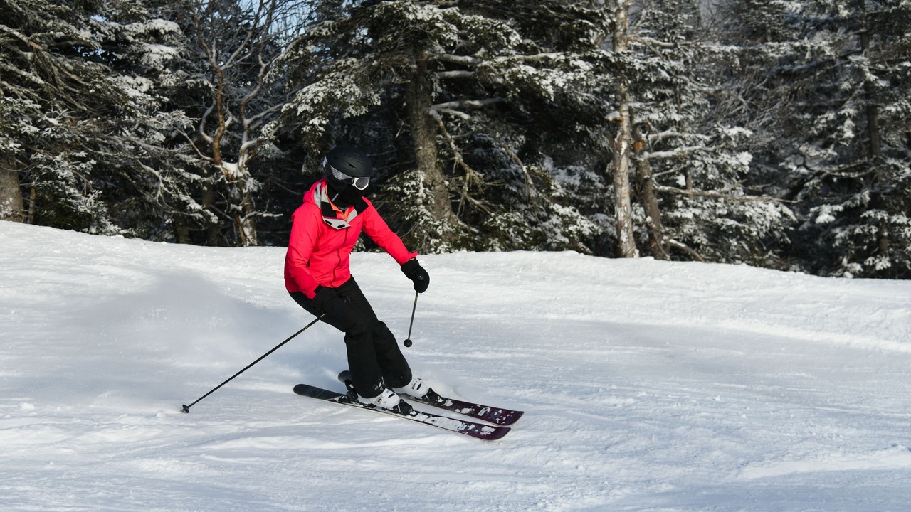Photo of Others in Stowe Area