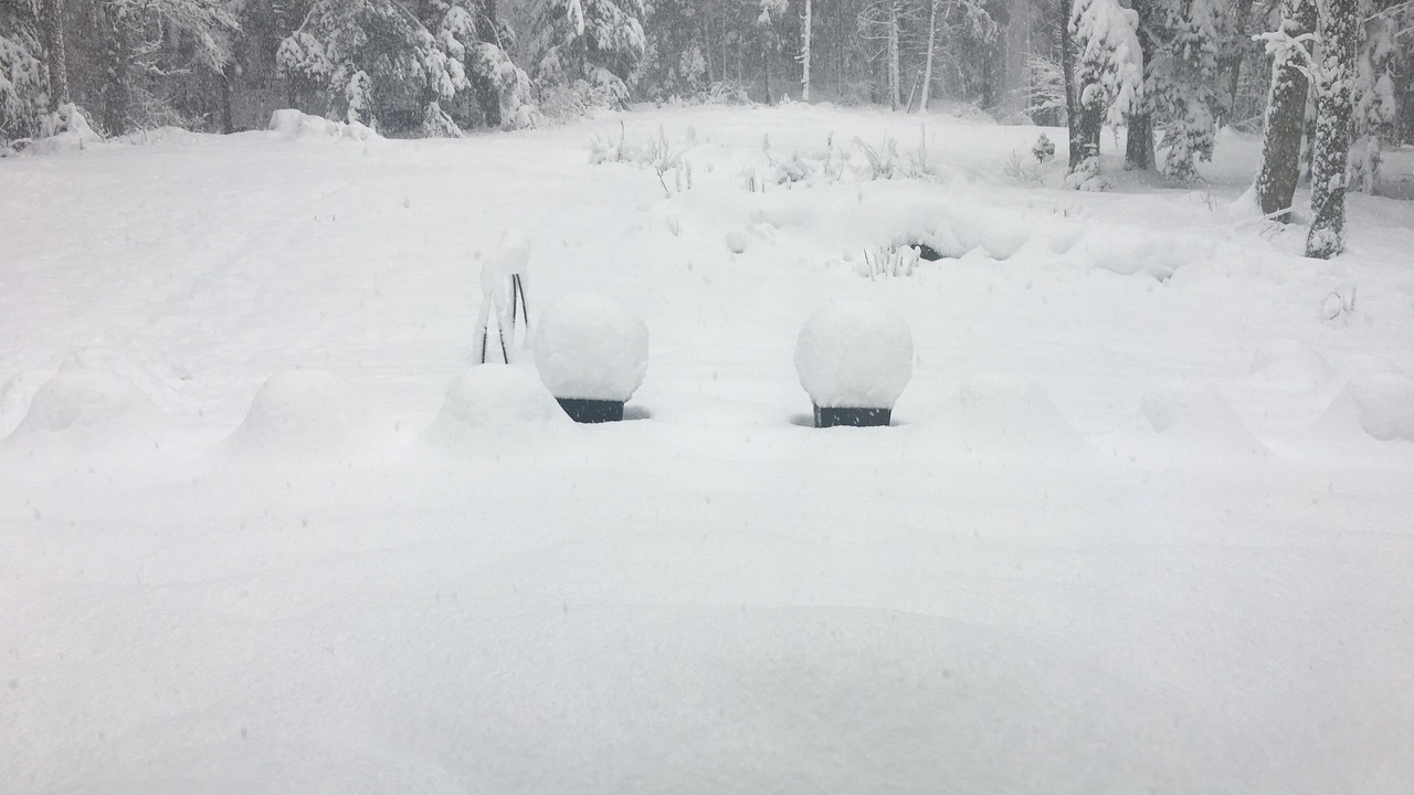 Photo of Others in Stratton