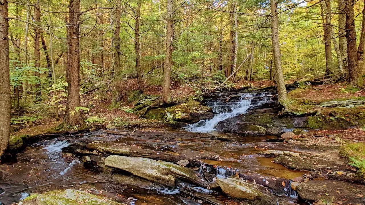 Photo of Outdoor in Stratton