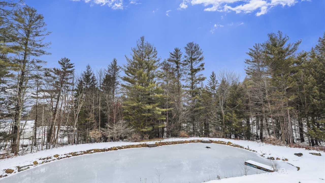 Photo of Others in Stowe Hollow