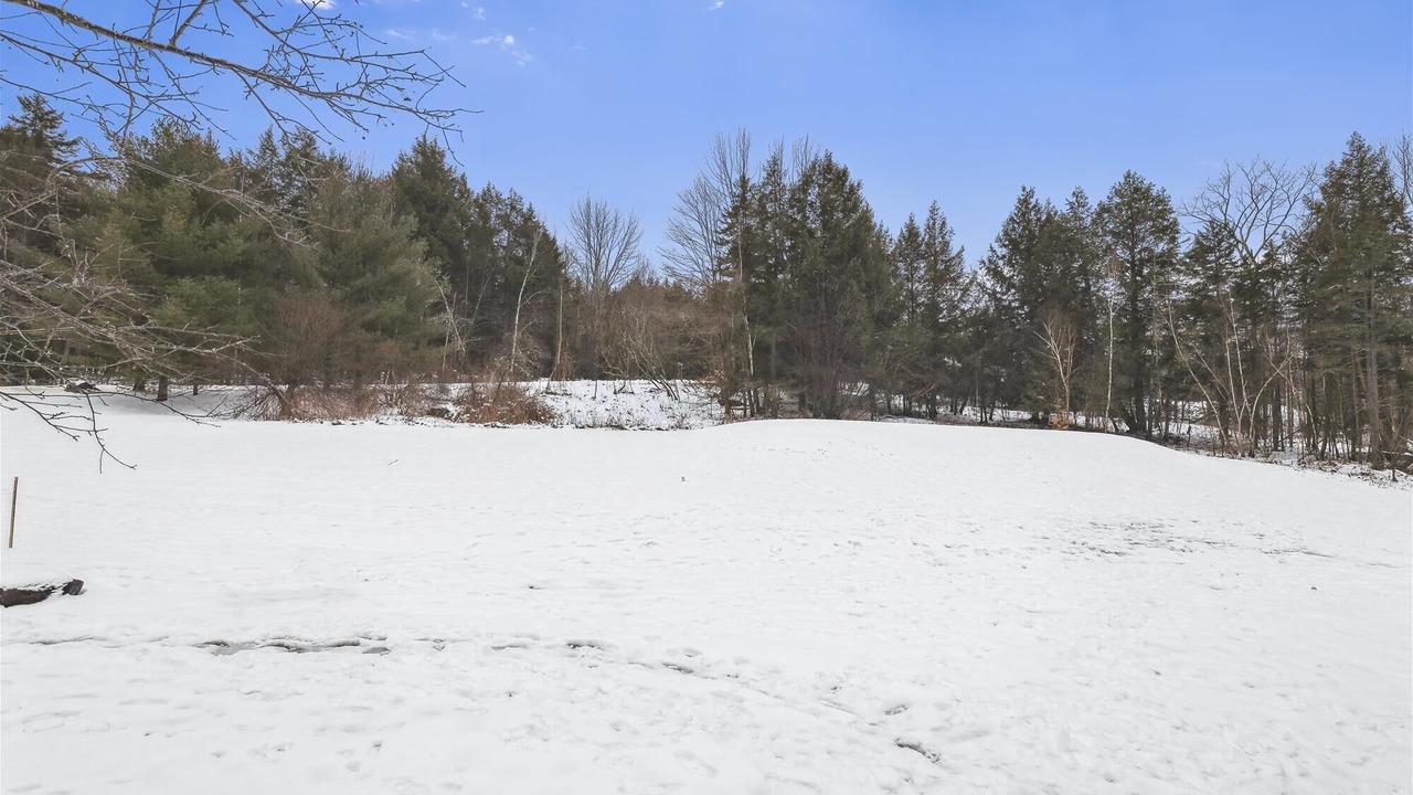 Photo of Others in Stowe Hollow