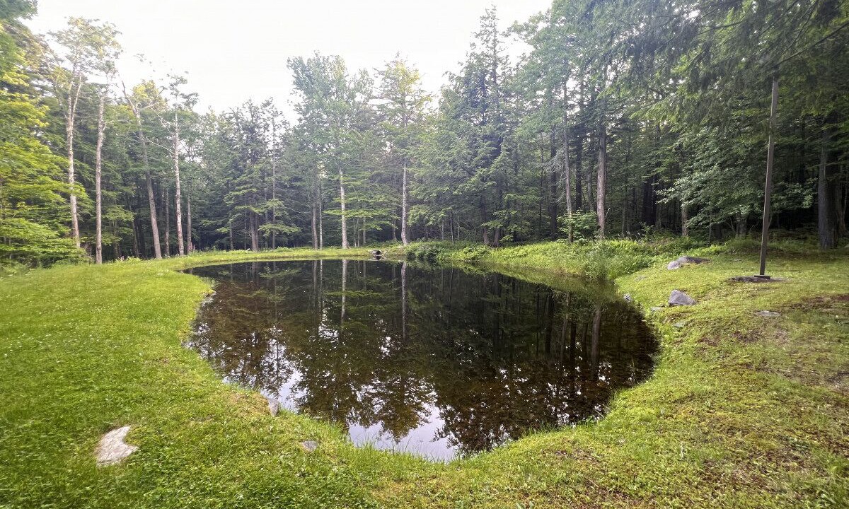 Photo of Outdoor in Stratton