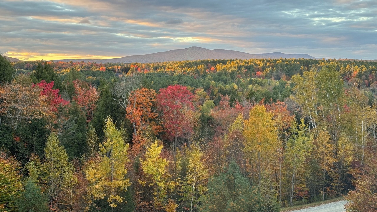 Photo of Others in Stratton Mountain