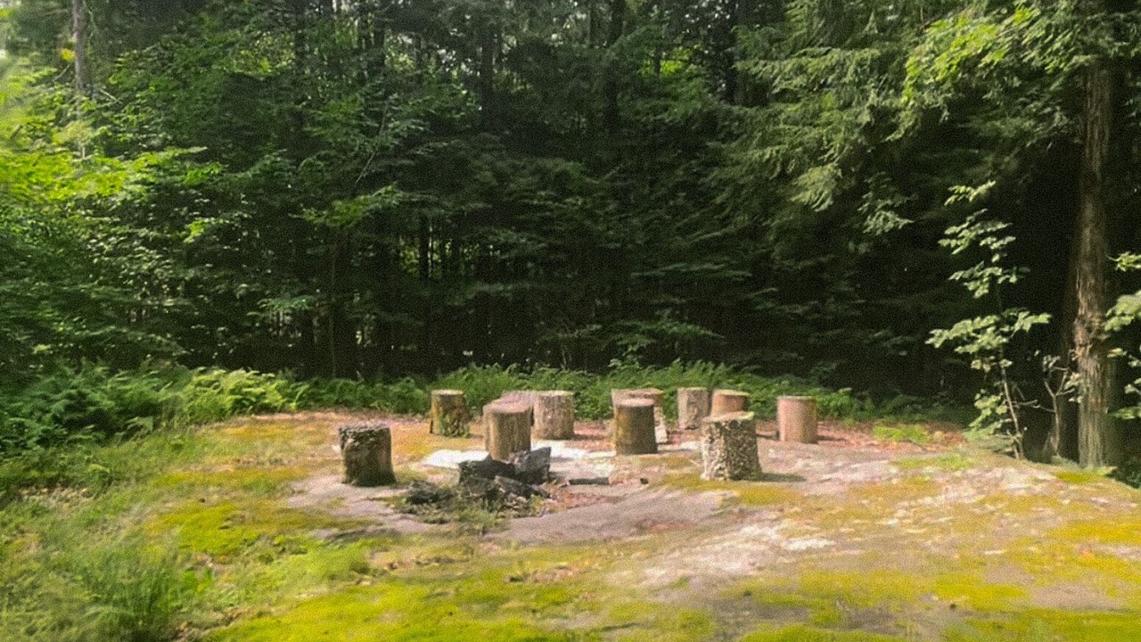 Photo of Outdoor in South Londonderry