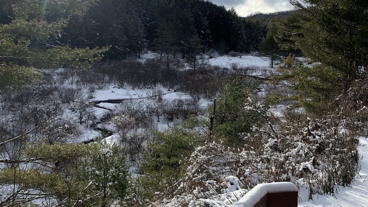 Photo of Outdoor in Hartland