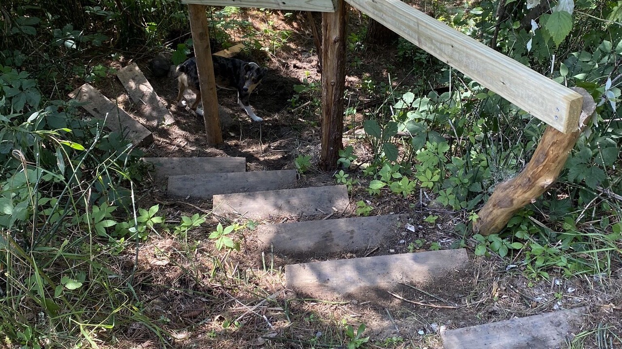 Photo of Outdoor in Hartland