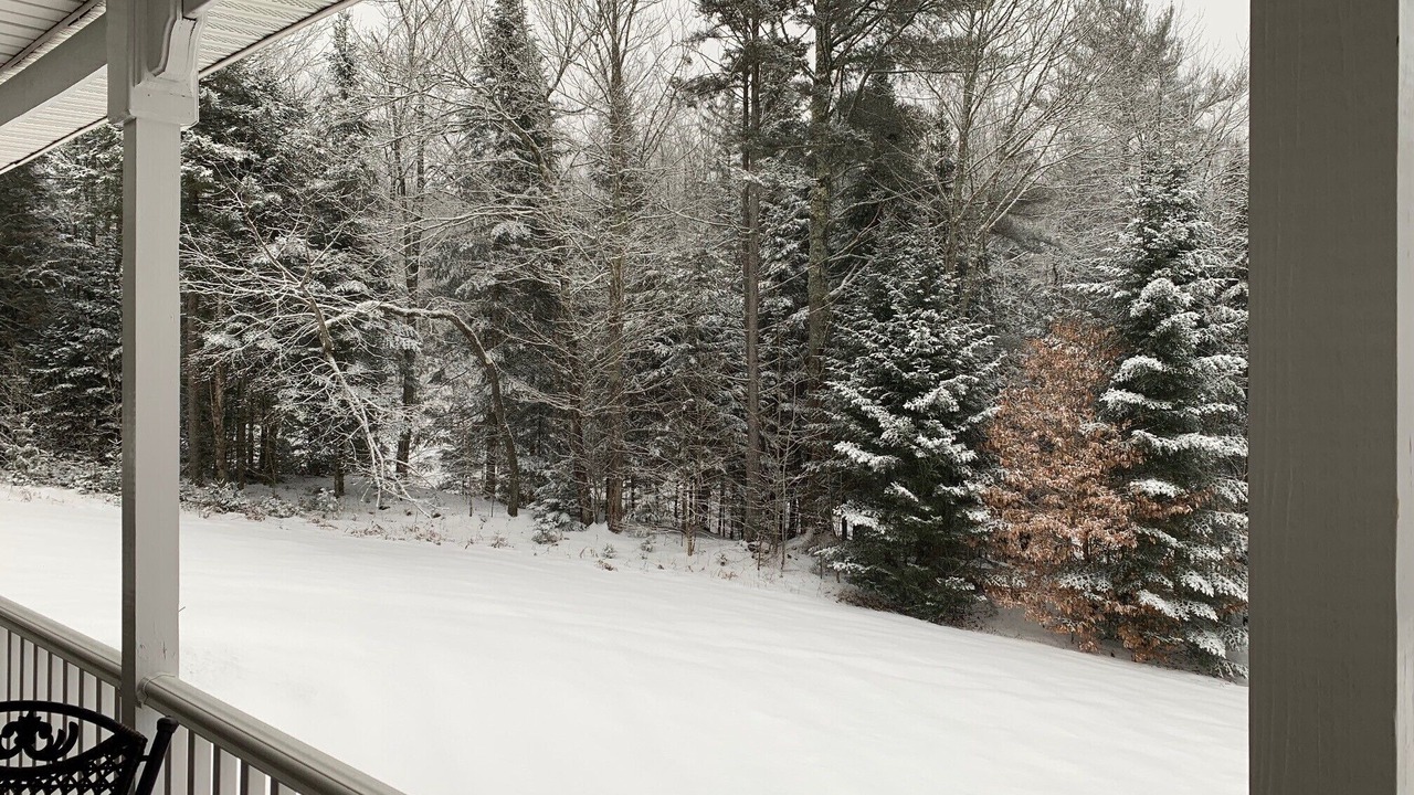 Photo of Outdoor in Eden