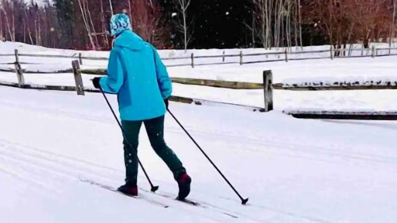 Photo of Others in Stowe Area