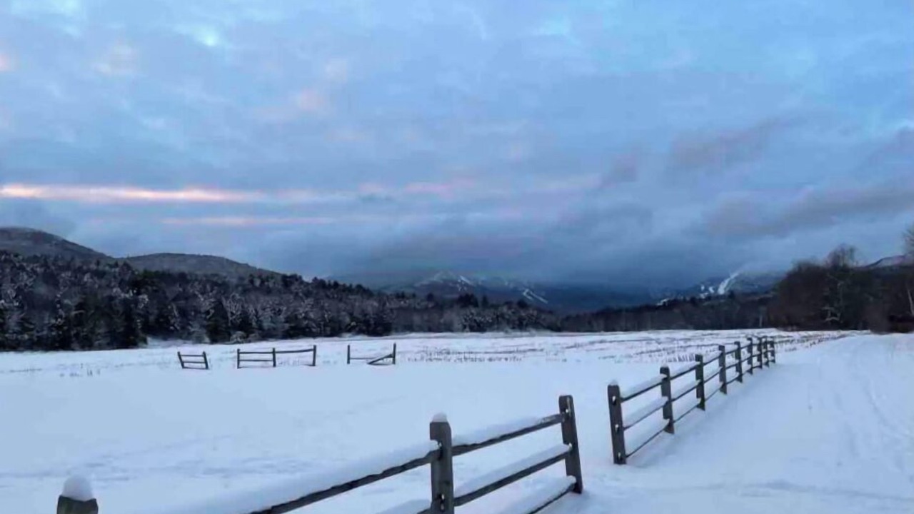 Photo of Others in Stowe Area