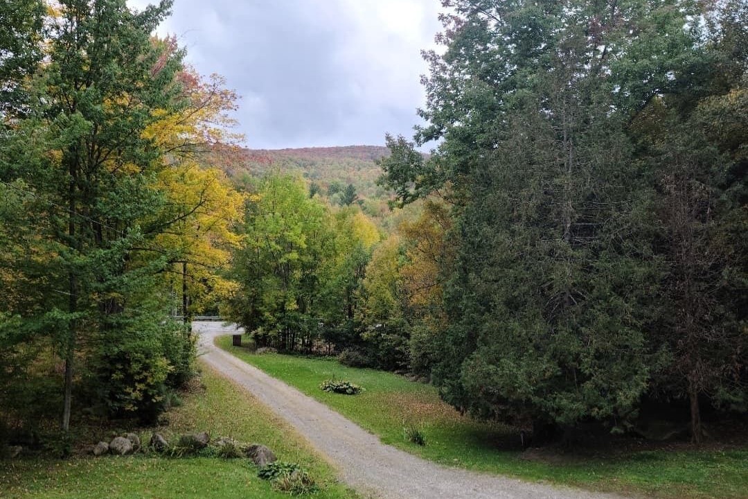 Photo of Outdoor in Barton