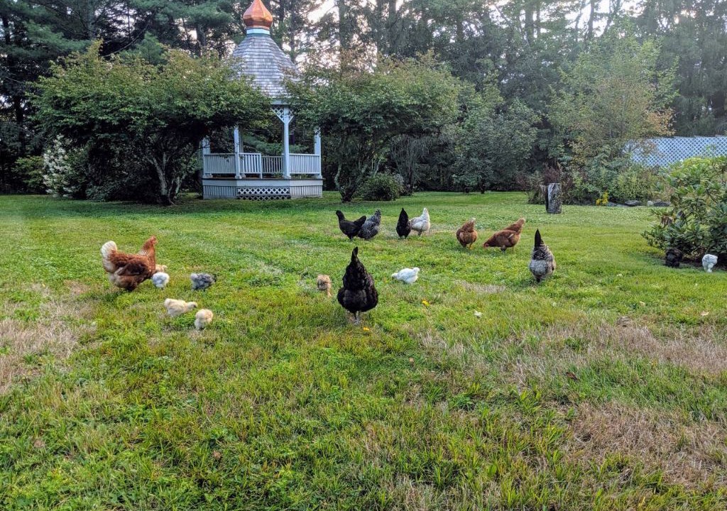 Photo of Outdoor in Eastern Vermont