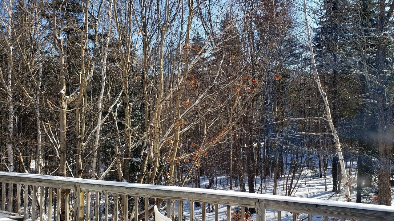 Photo of Outdoor in West Dover