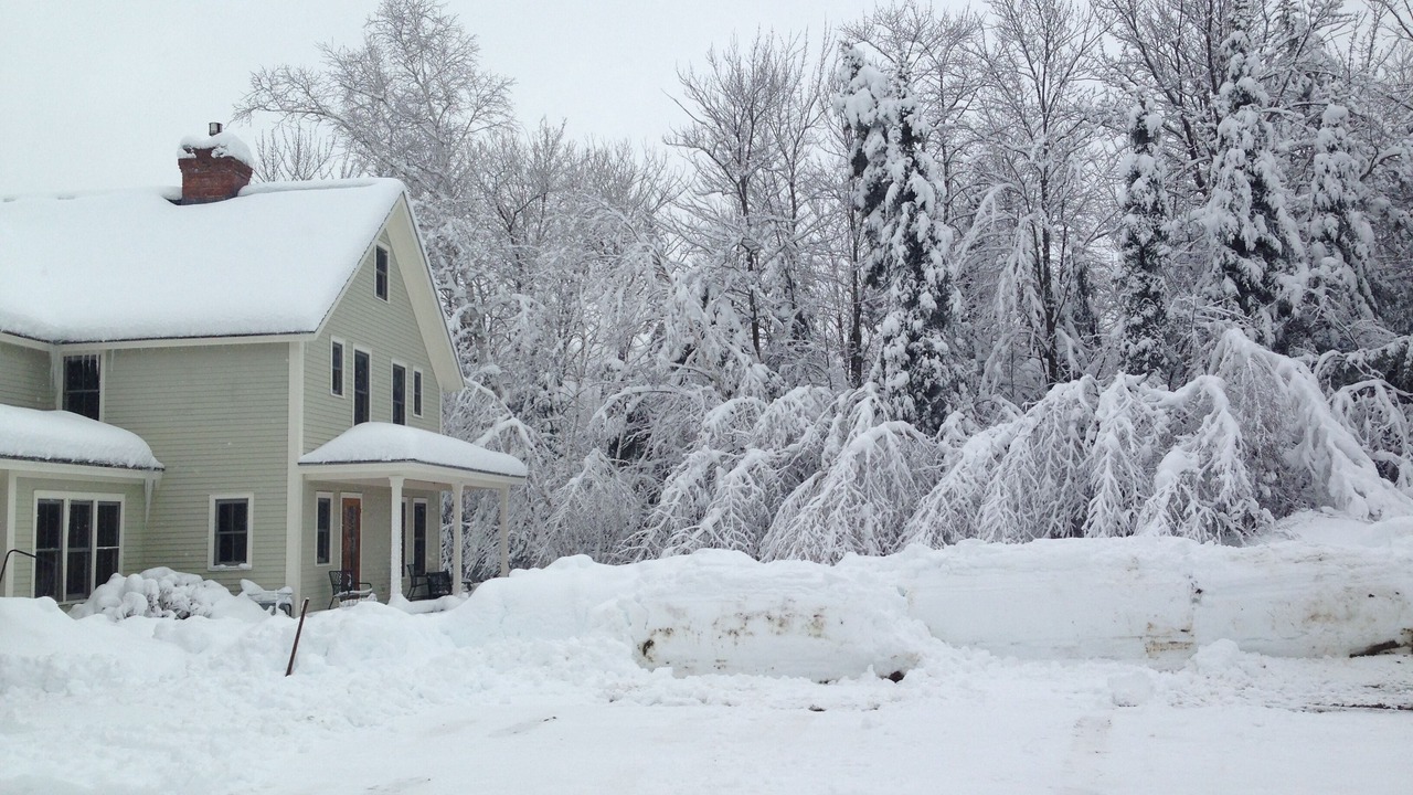 Photo of Others in Stowe Hollow