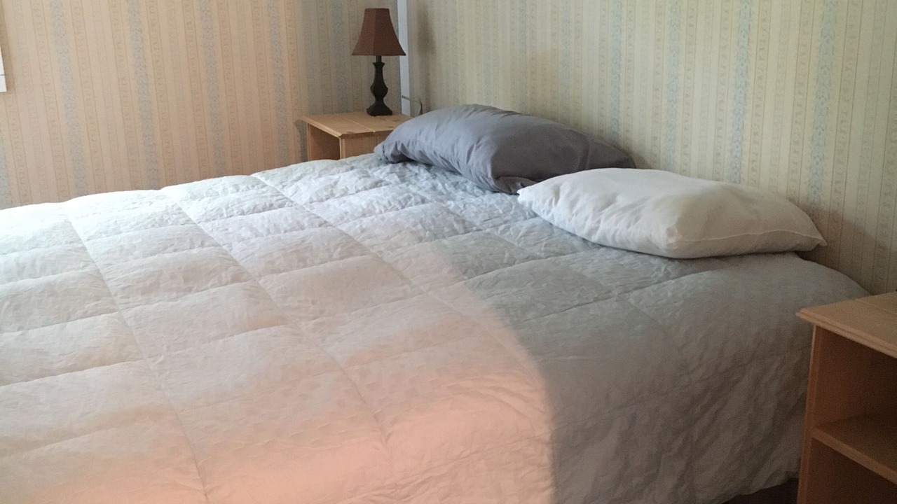 Photo of Bedroom in East Charleston