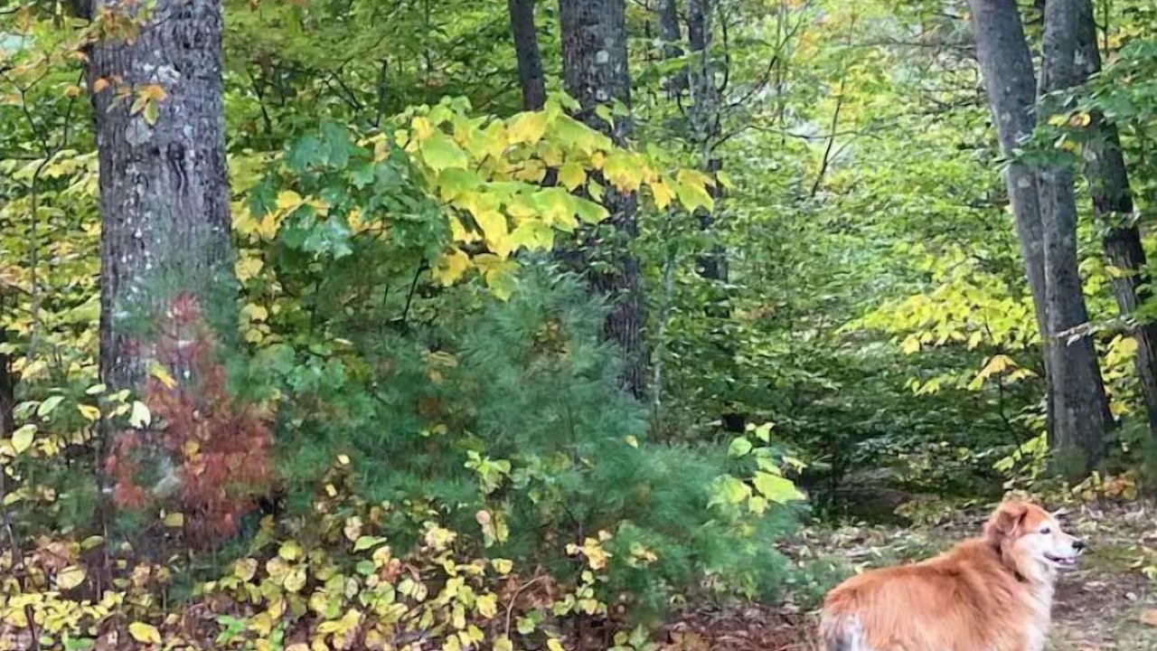 Photo of Outdoor in Post Mills