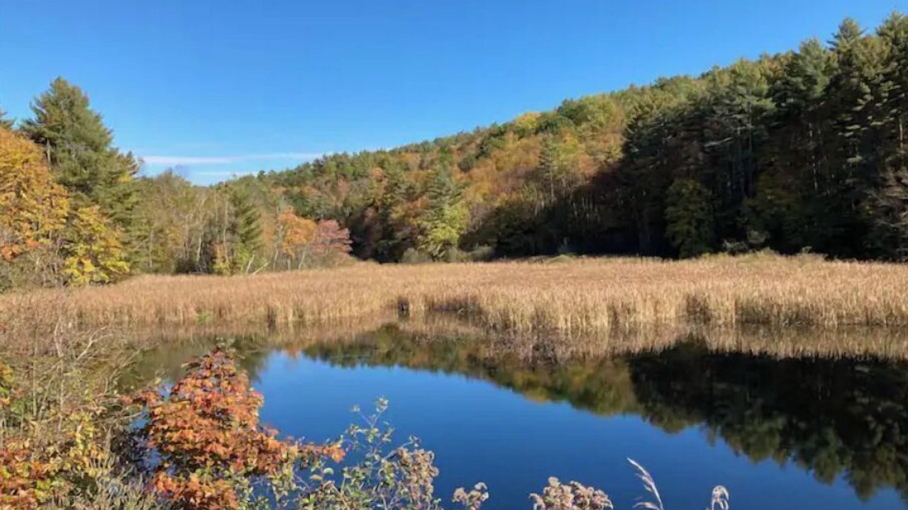 Photo of Outdoor in Post Mills