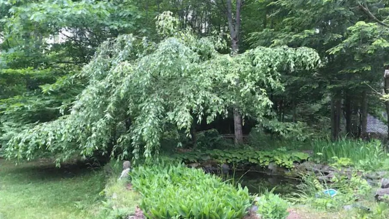 Photo of Outdoor in Post Mills