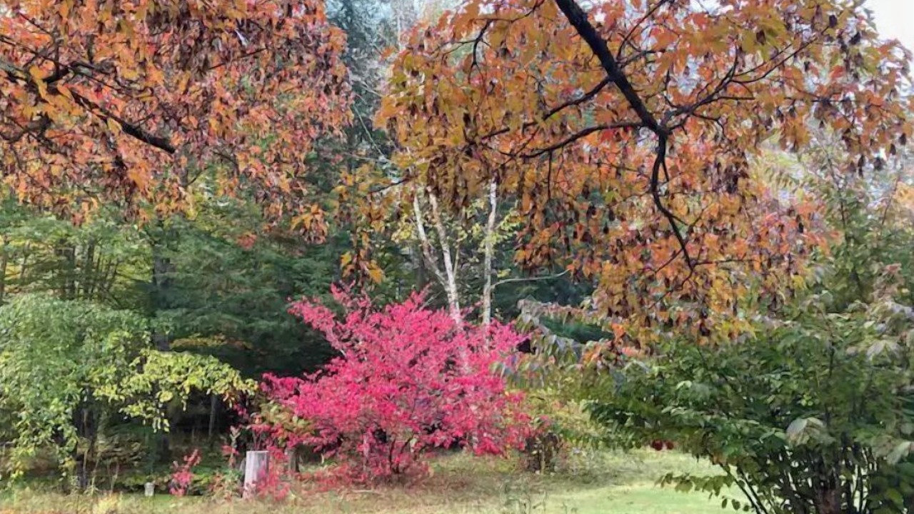Photo of Outdoor in Post Mills