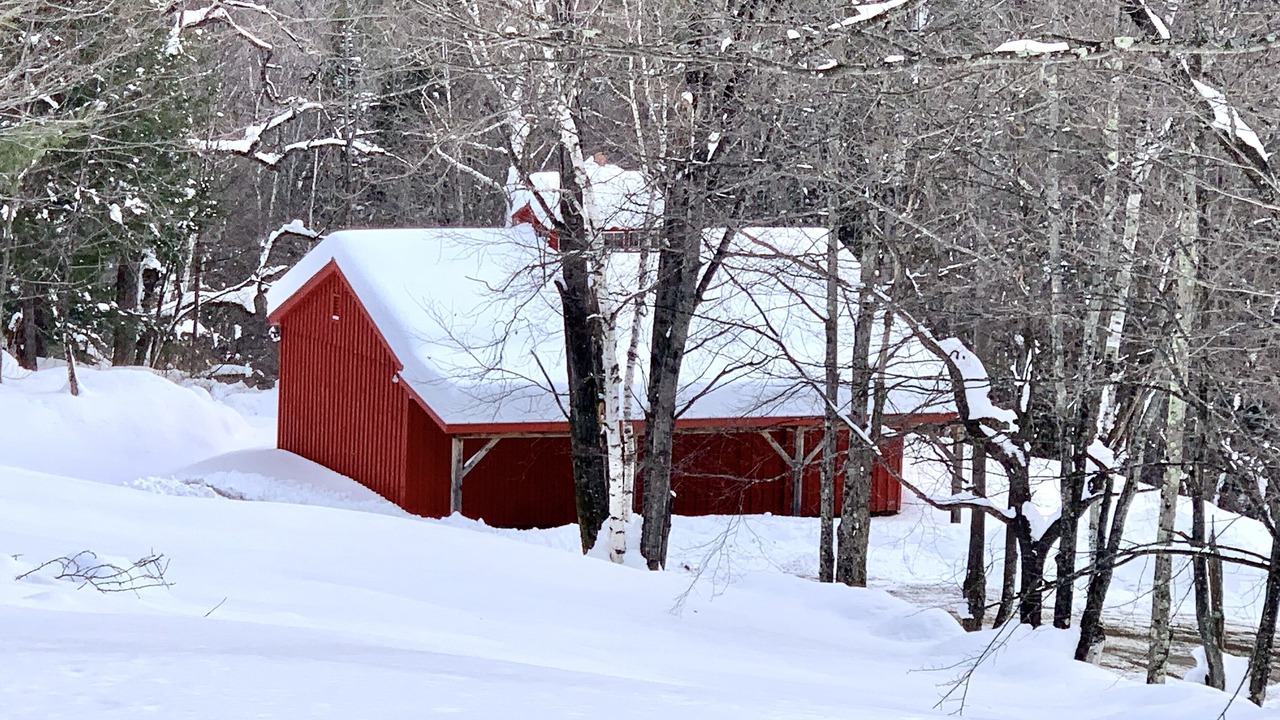Photo of Outdoor in Windsor