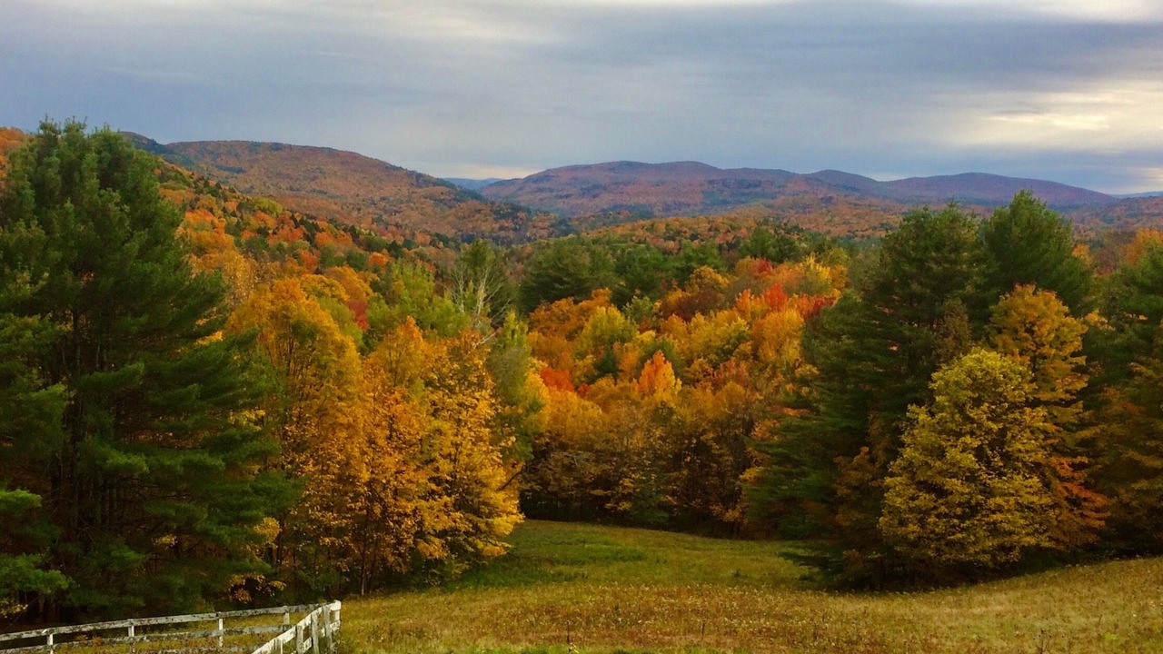 Photo of Outdoor in Windsor