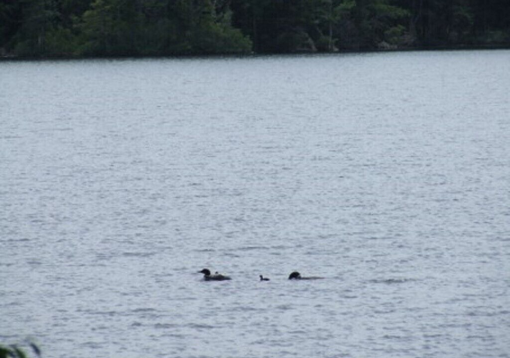 Photo of Others in Mount Holly