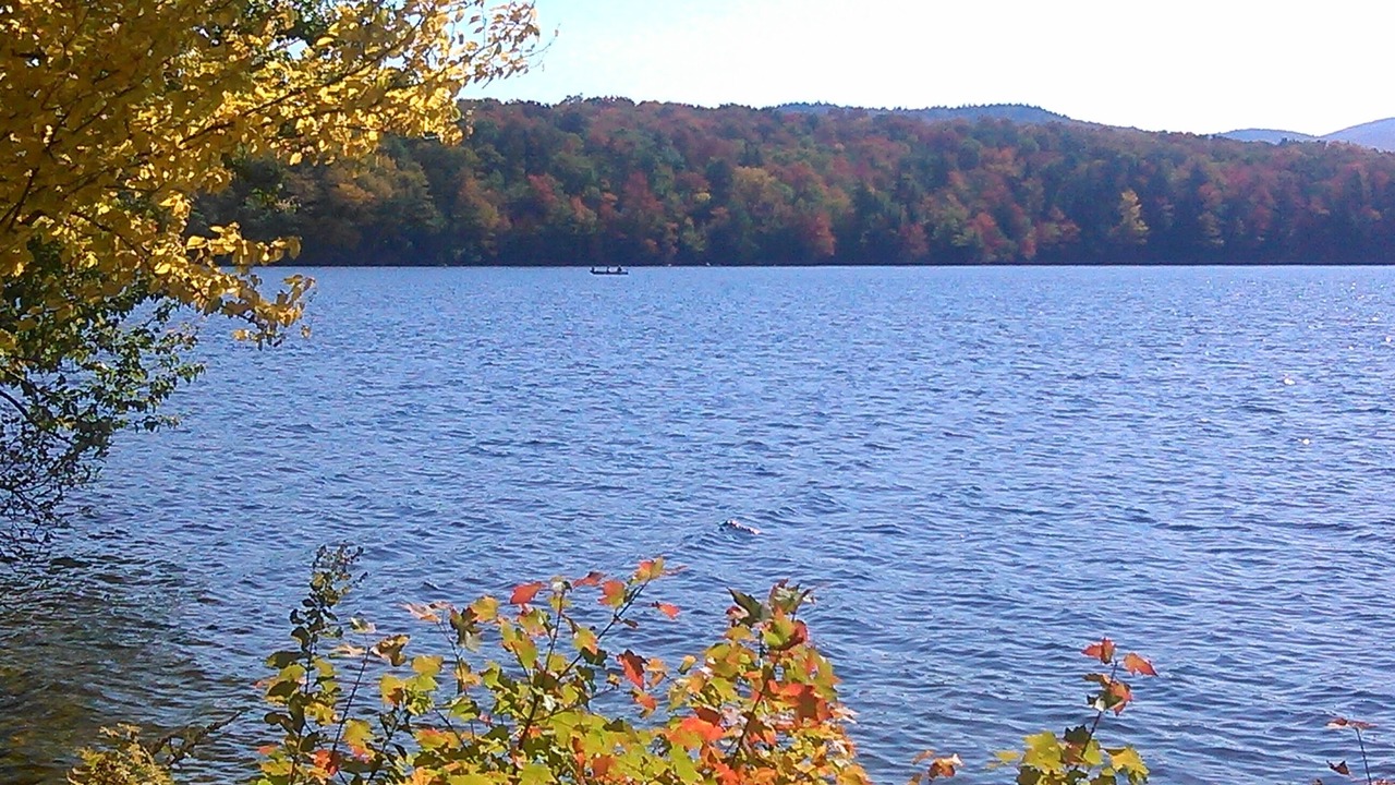 Photo of Outdoor in Mount Holly